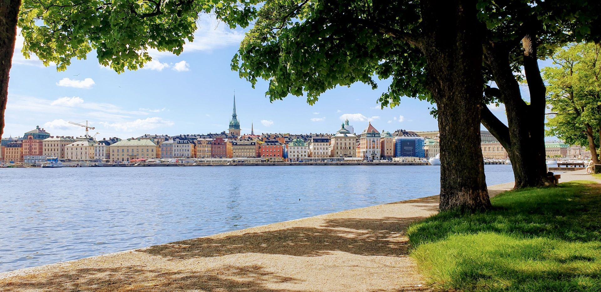 A scenic view of Stockholm's waterfront, framed by trees, with colorful historic buildings across the sparkling blue water.