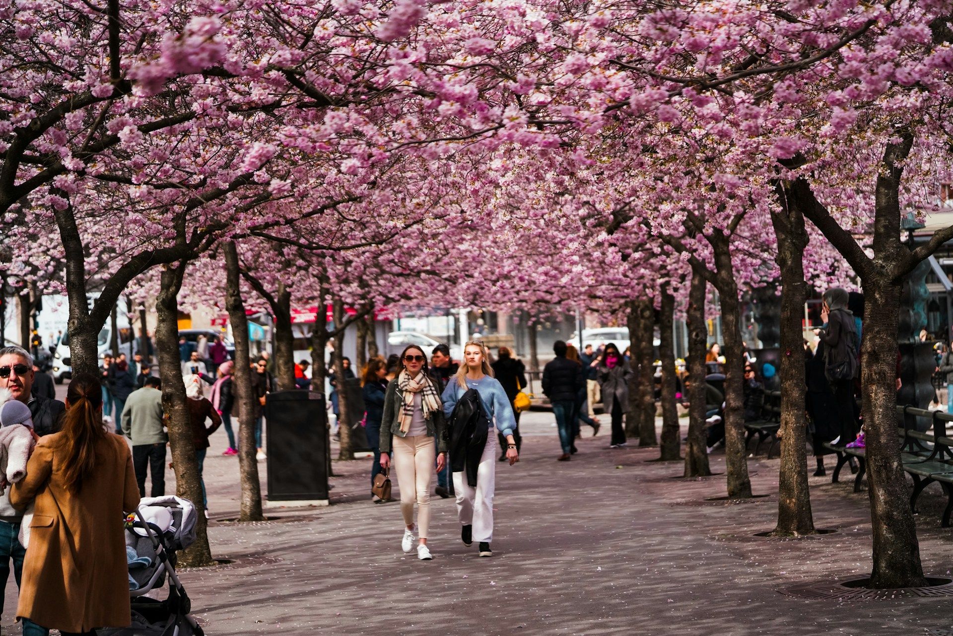 Sweden In April What to Do in Stockholm in April: Spring Awakening Guide