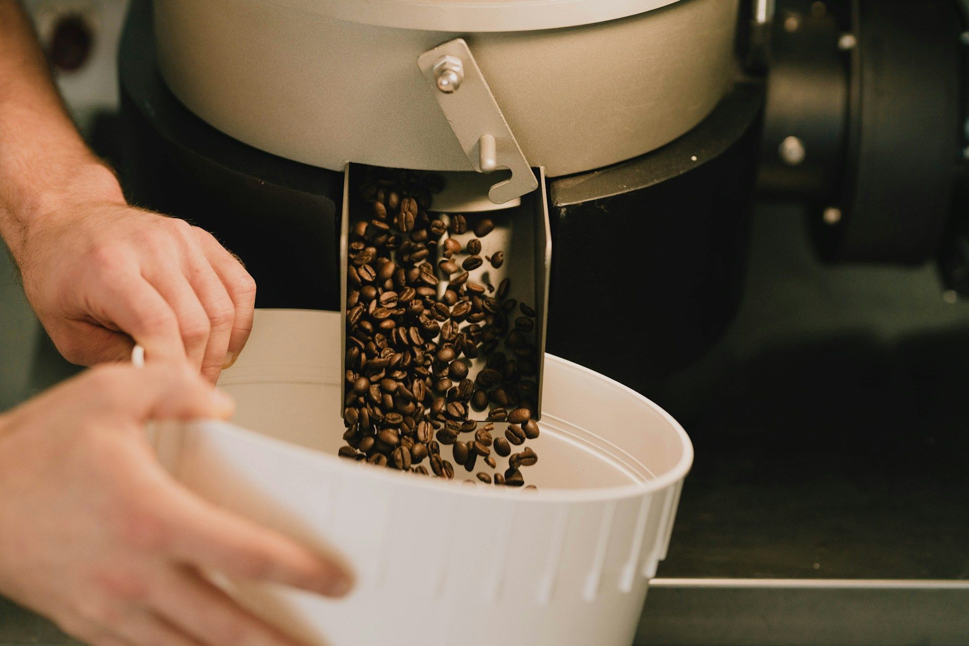 Rosting of coffee beans with a person collecting the finished beans in a white bowl