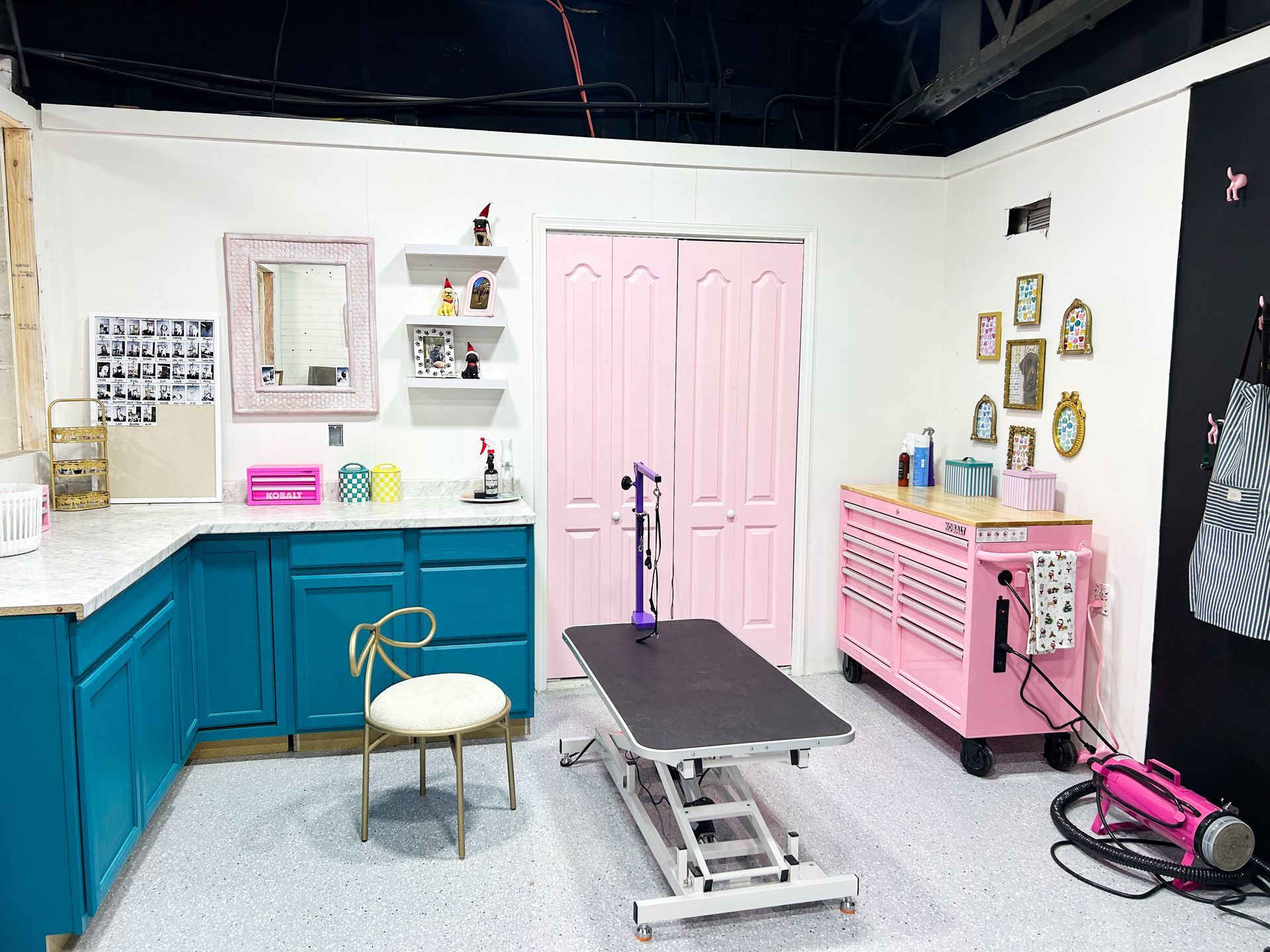 Dog grooming studio with pink and teal accents, grooming table, and tools.