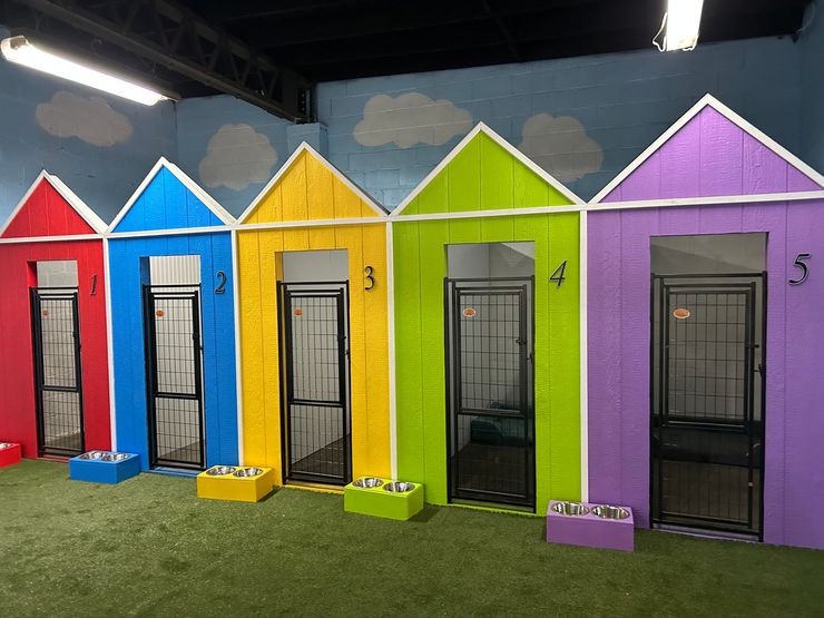 Colorful dog kennels numbered 1-5, in red, blue, yellow, green, and purple, with grass flooring, and a cloudy backdrop.