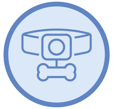 Blue icon of a pet collar and bone-shaped tag inside a circle.