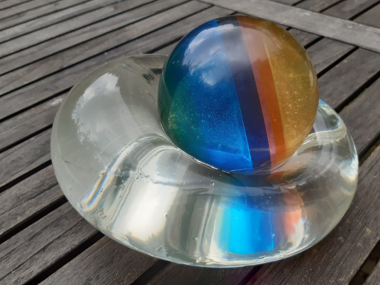 Multicolour apple snail (unique)