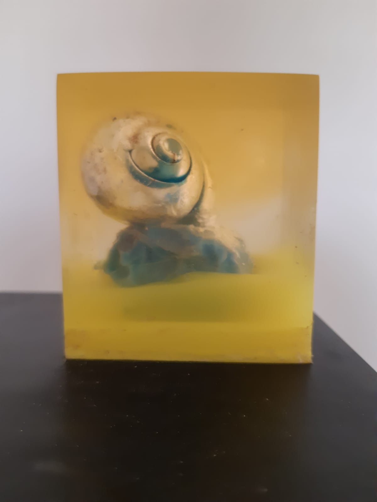 Epoxy Snail Optical illusion