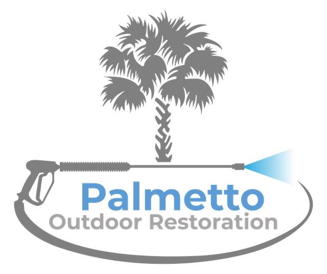 Palmetto Pressure Clean Columbia – Pressure Clean & Soft Wash Company in  the Lexington Columbia area, SC