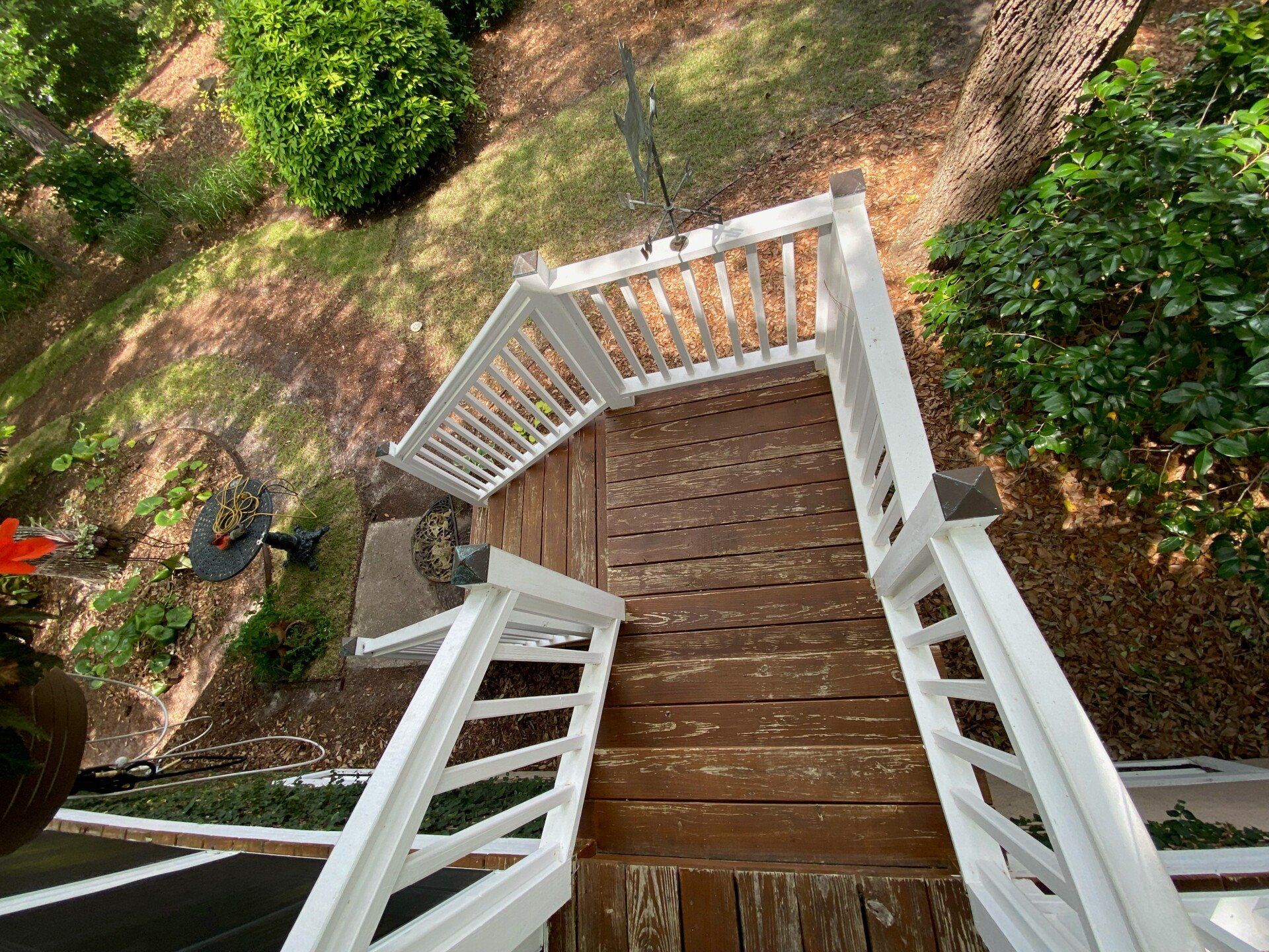 Before Image of. — Charleston, SC — Palmetto Outdoor Restoration