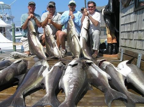 A group of men sitting on a dock holding fish