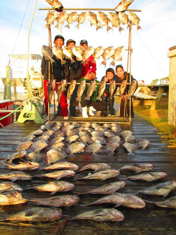 A group of people are standing on a dock holding fish.