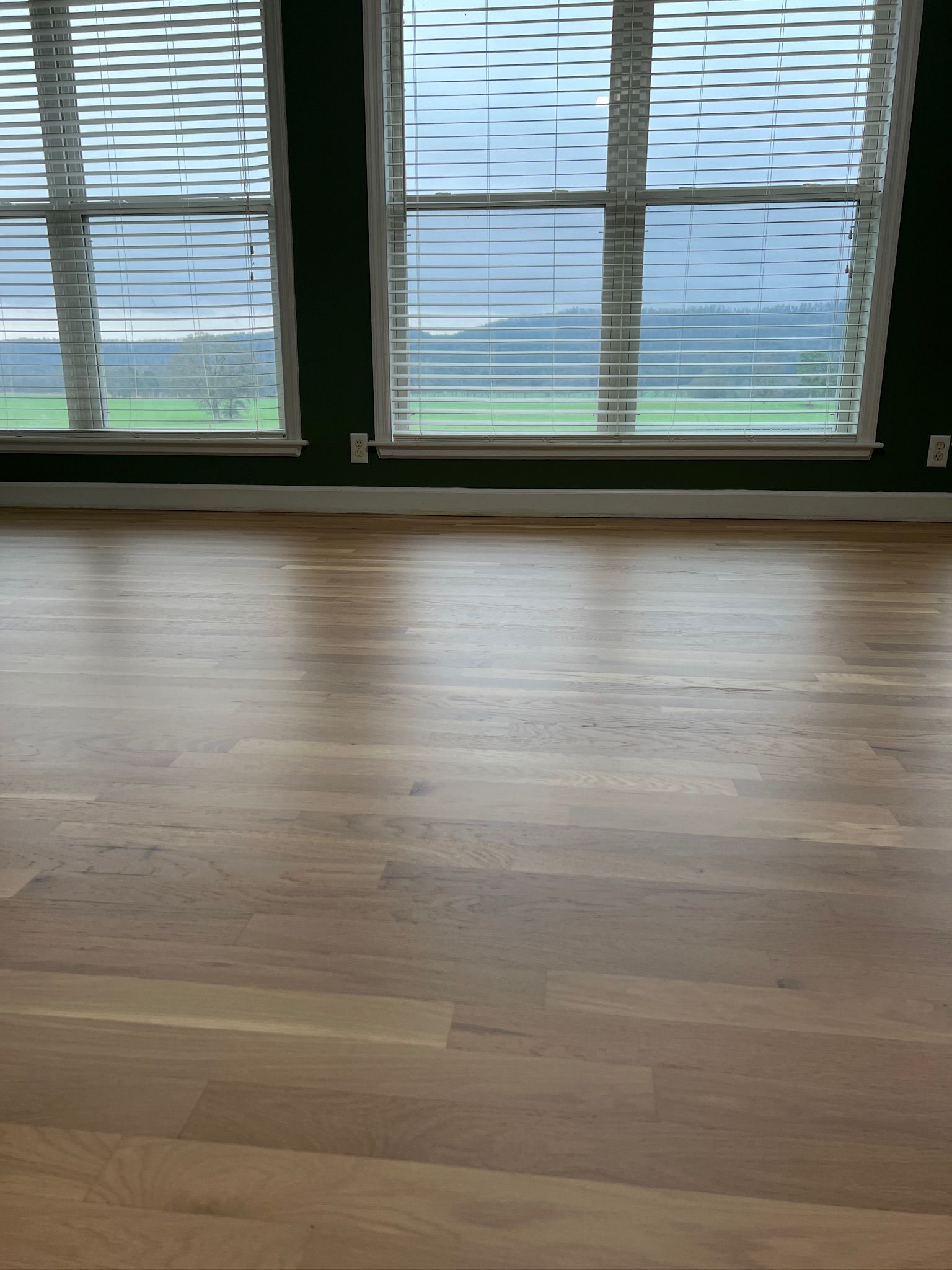 An empty living room with hardwood floors and lots of windows.