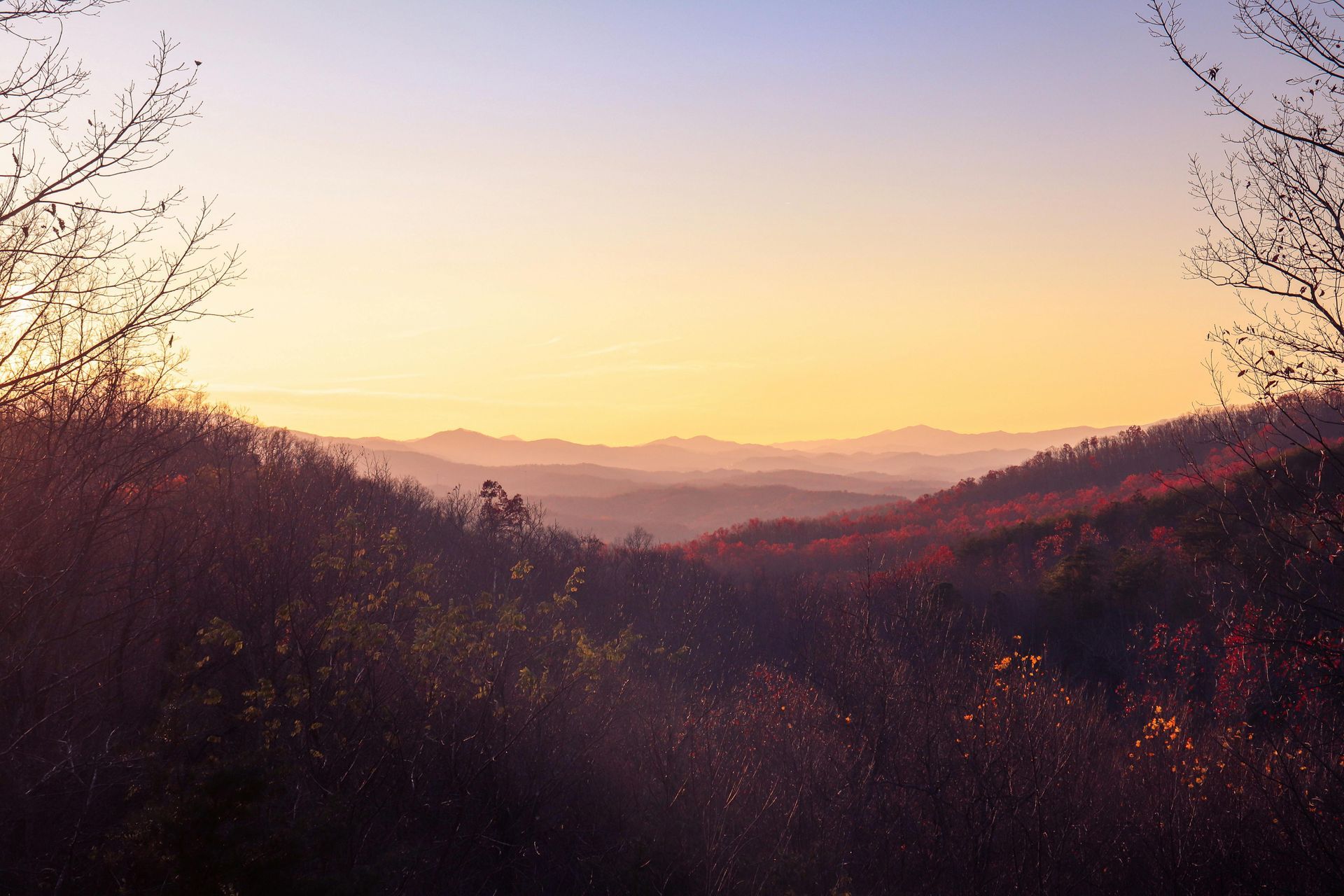 A sunset over a mountain range with trees in the foreground