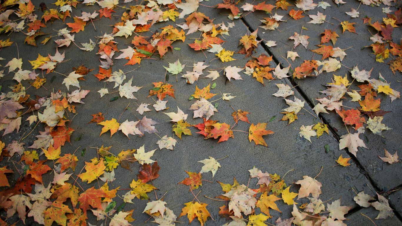 hardwood floor maintenance Chattanooga