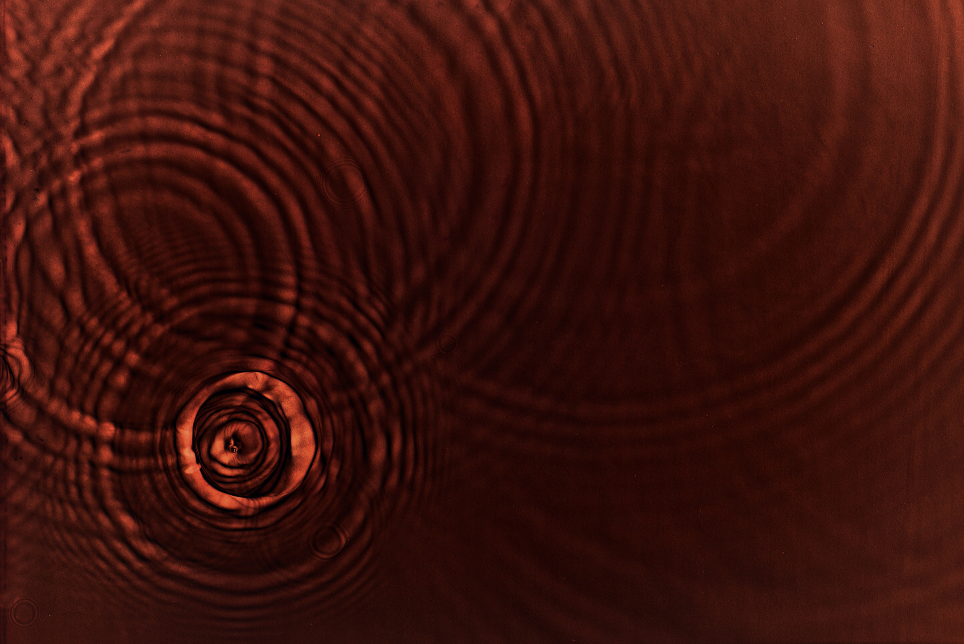 Dispersion and velocity products from ambient noise tomography