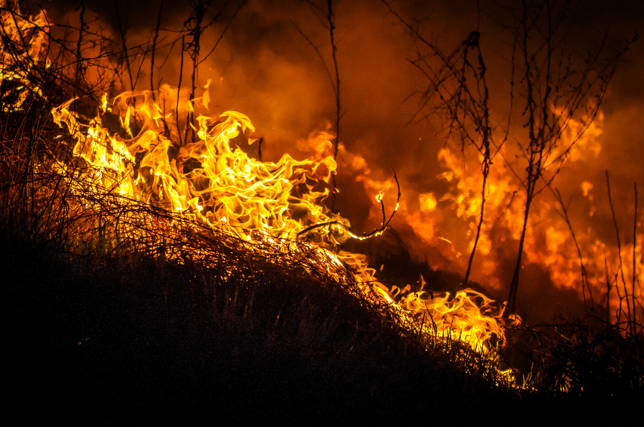 System performing under harsh bushfire conditions