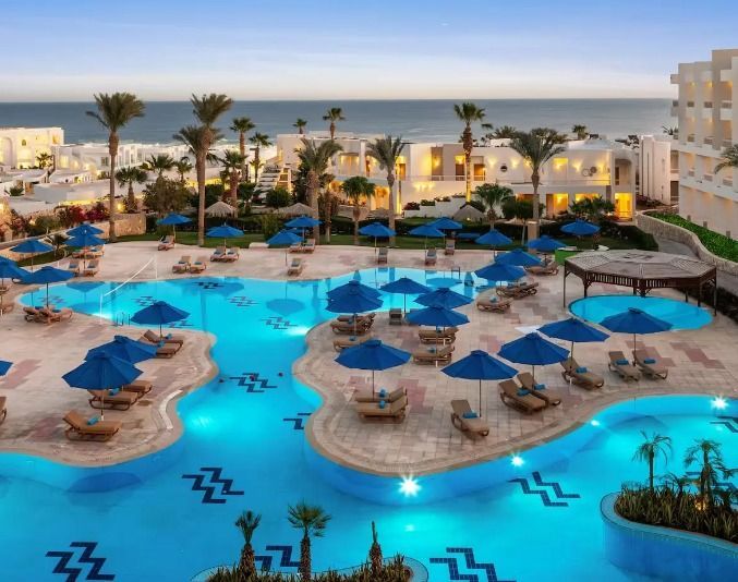 Winter Sunshine Egypt 