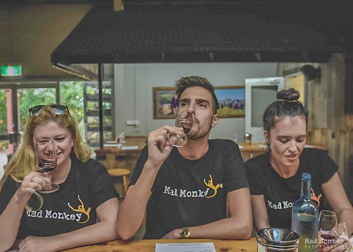 Wine Tasting Session