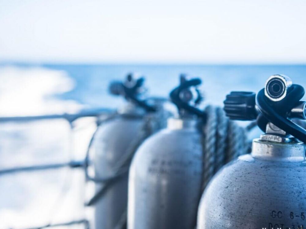 Snorkeling, Introductory Dive or Certified Dive?