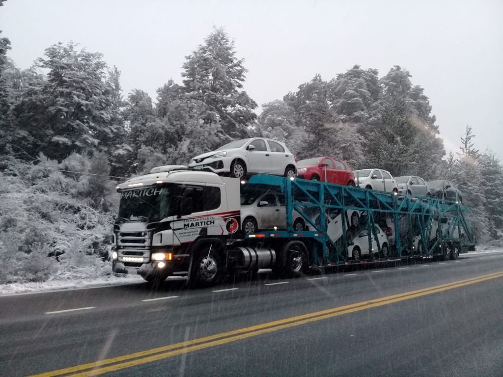 TRANSPORTE MARTICH