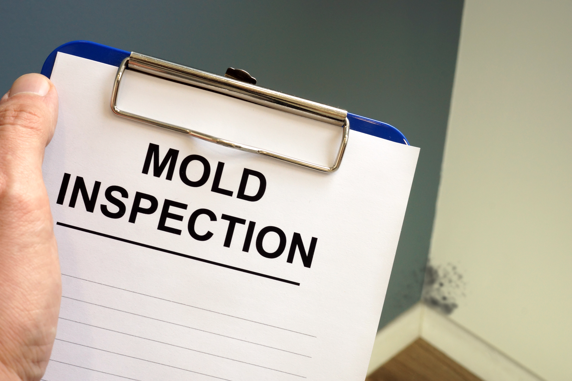 a person is holding a clipboard with a mold inspection on it .