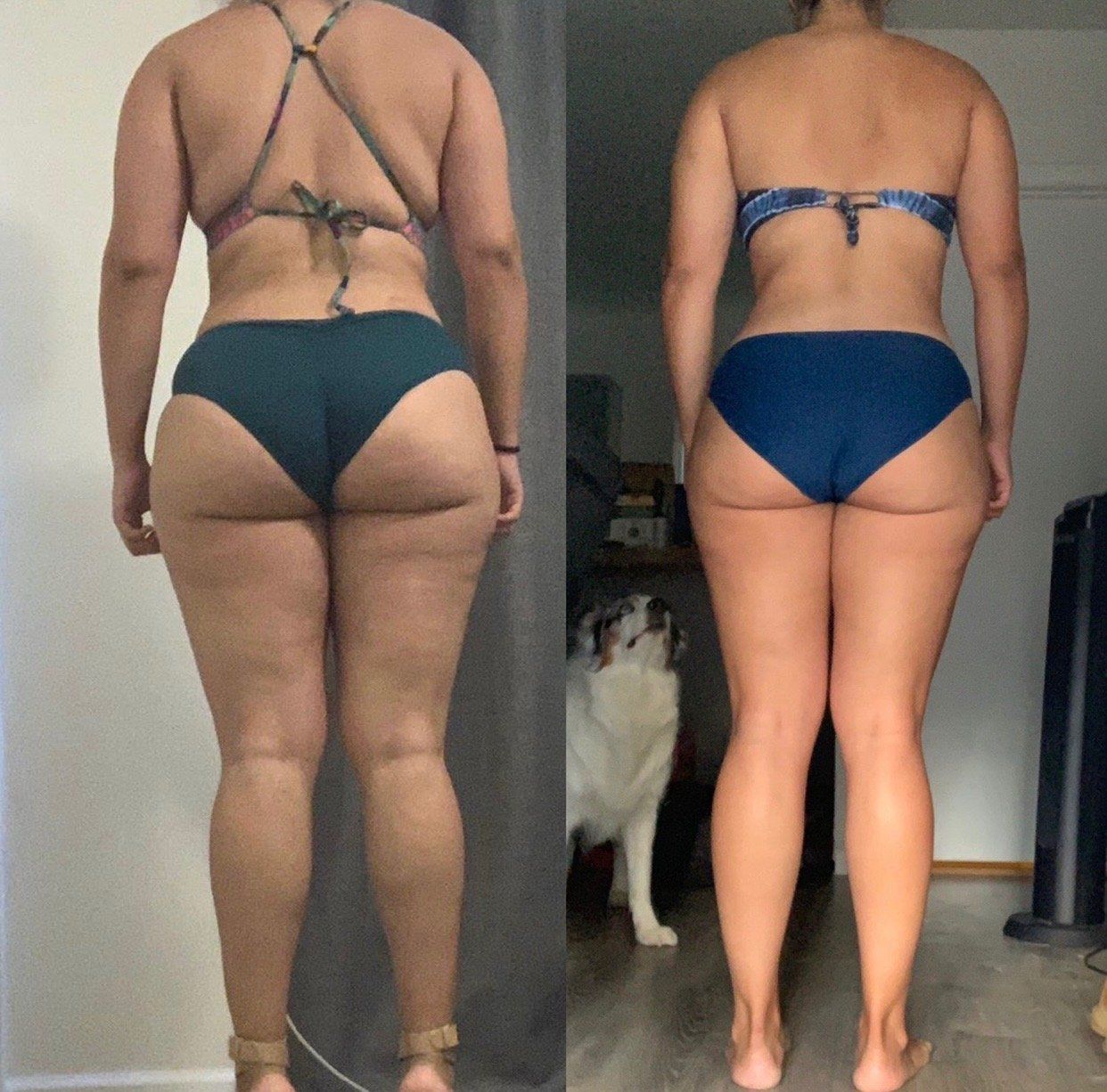 A woman in a bikini is standing in front of a dog