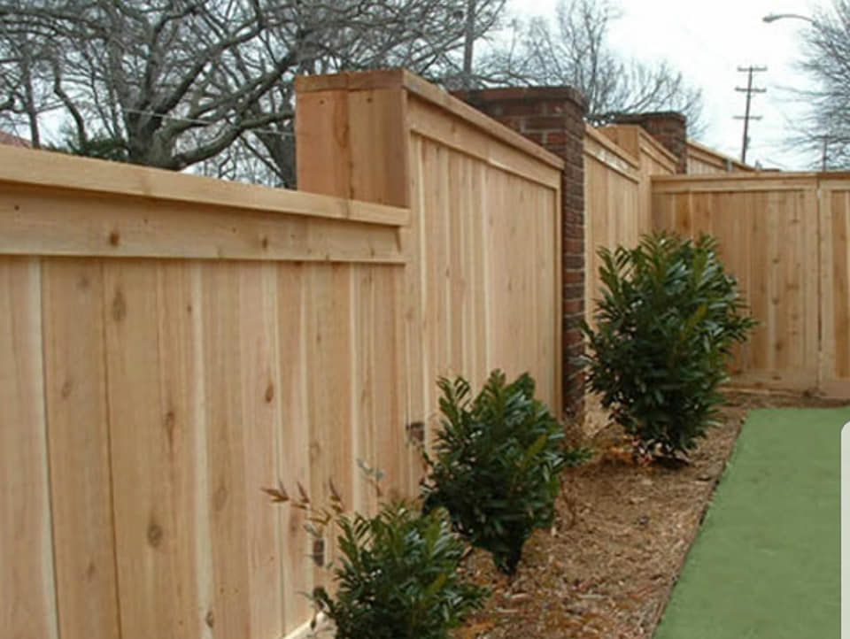Wooden fence with brick pillars, low green bushes, and brown mulch along a green ground.