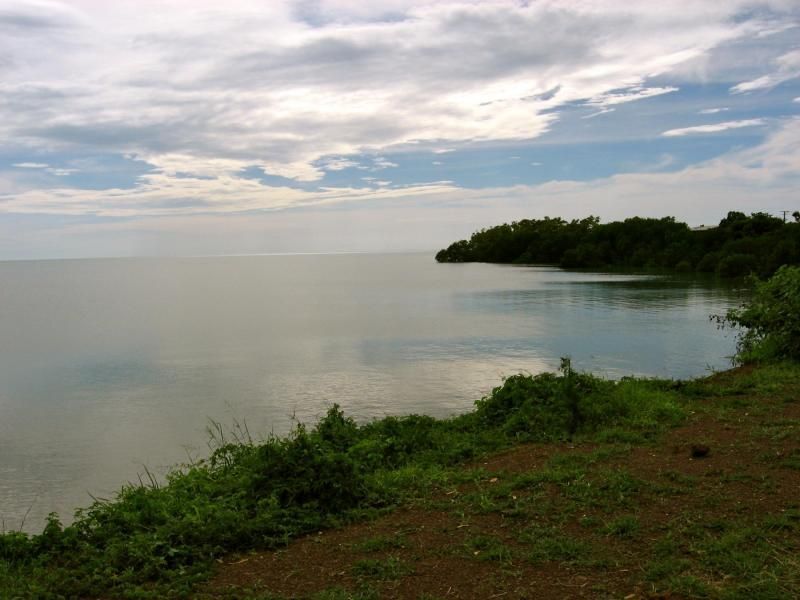 A large body of water surrounded by grass and trees