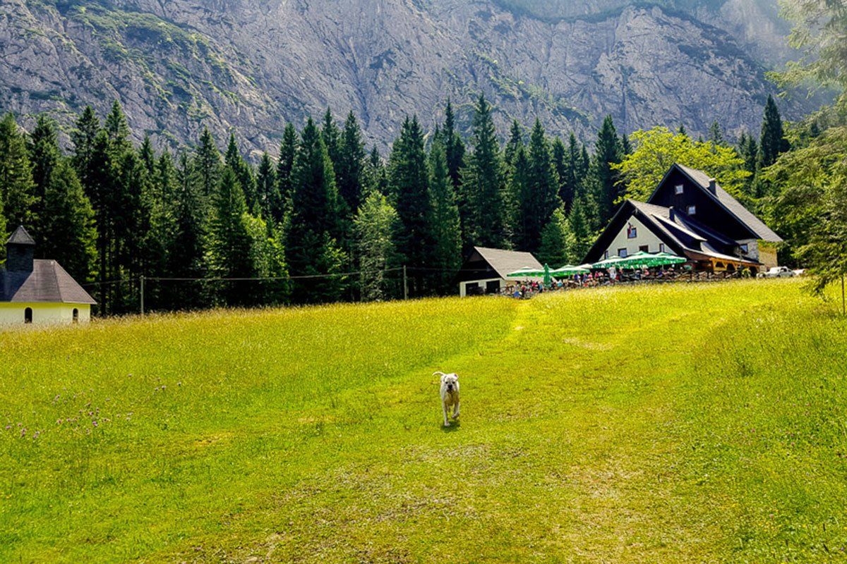 Pohod po dolini Tamar