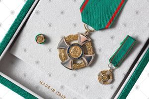 Cavaliere della Repubblica Italiana