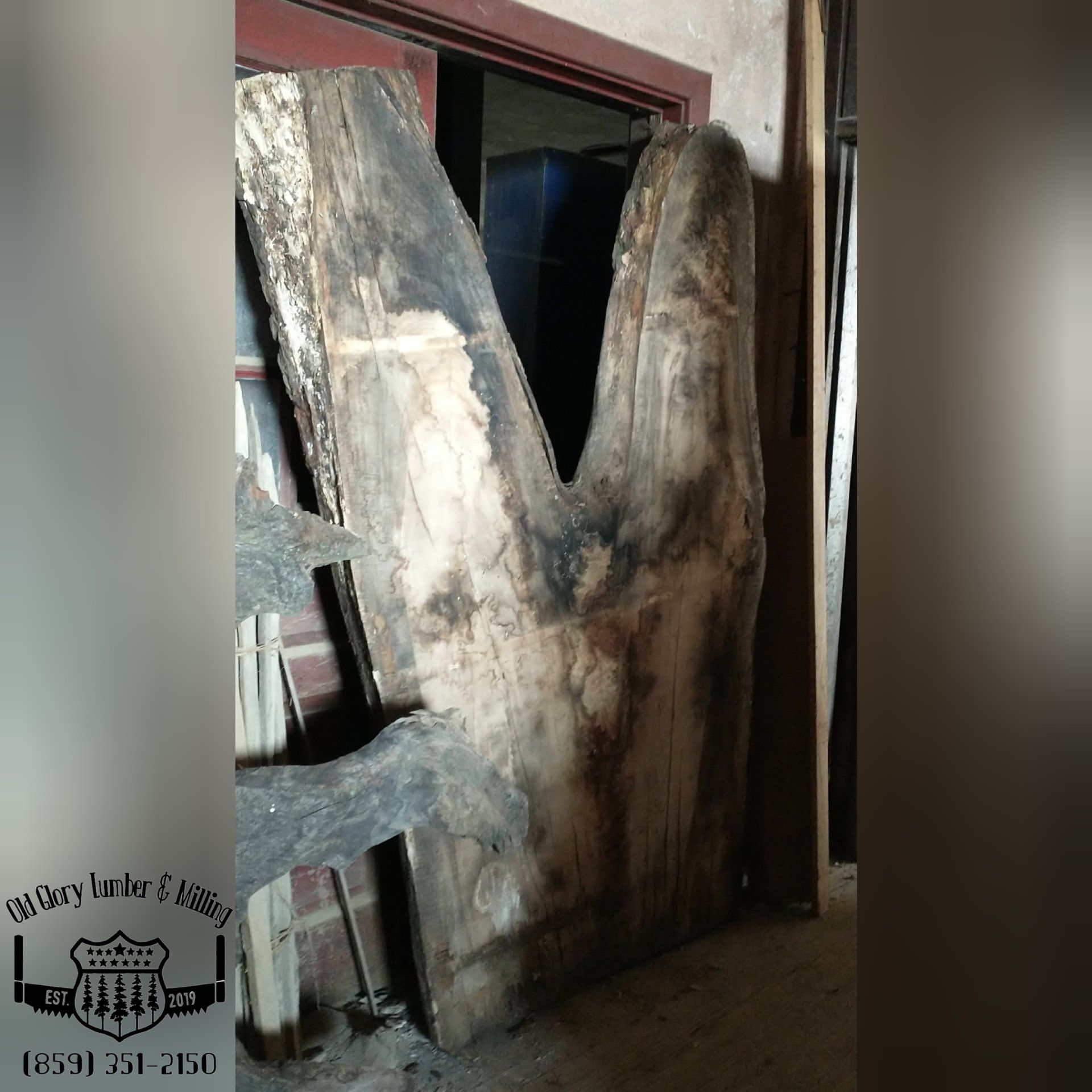 Live edge silver maple slab