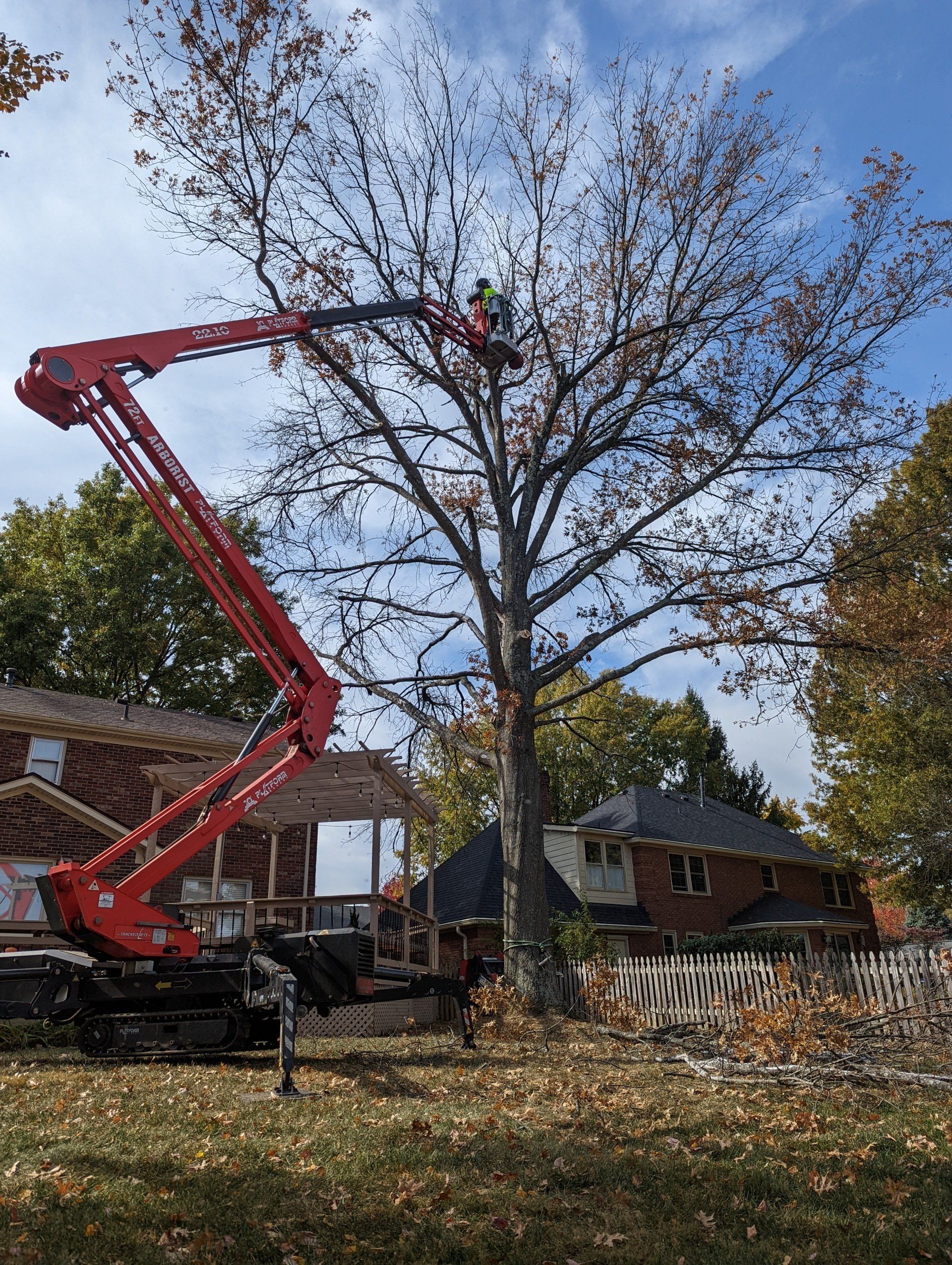 Tree Removal Service — Lexington, KY — Old Glory Tree Co