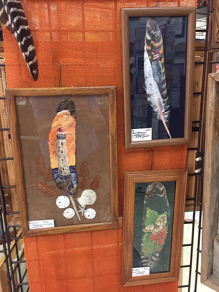 Three framed pictures of feathers are hanging on a wall.