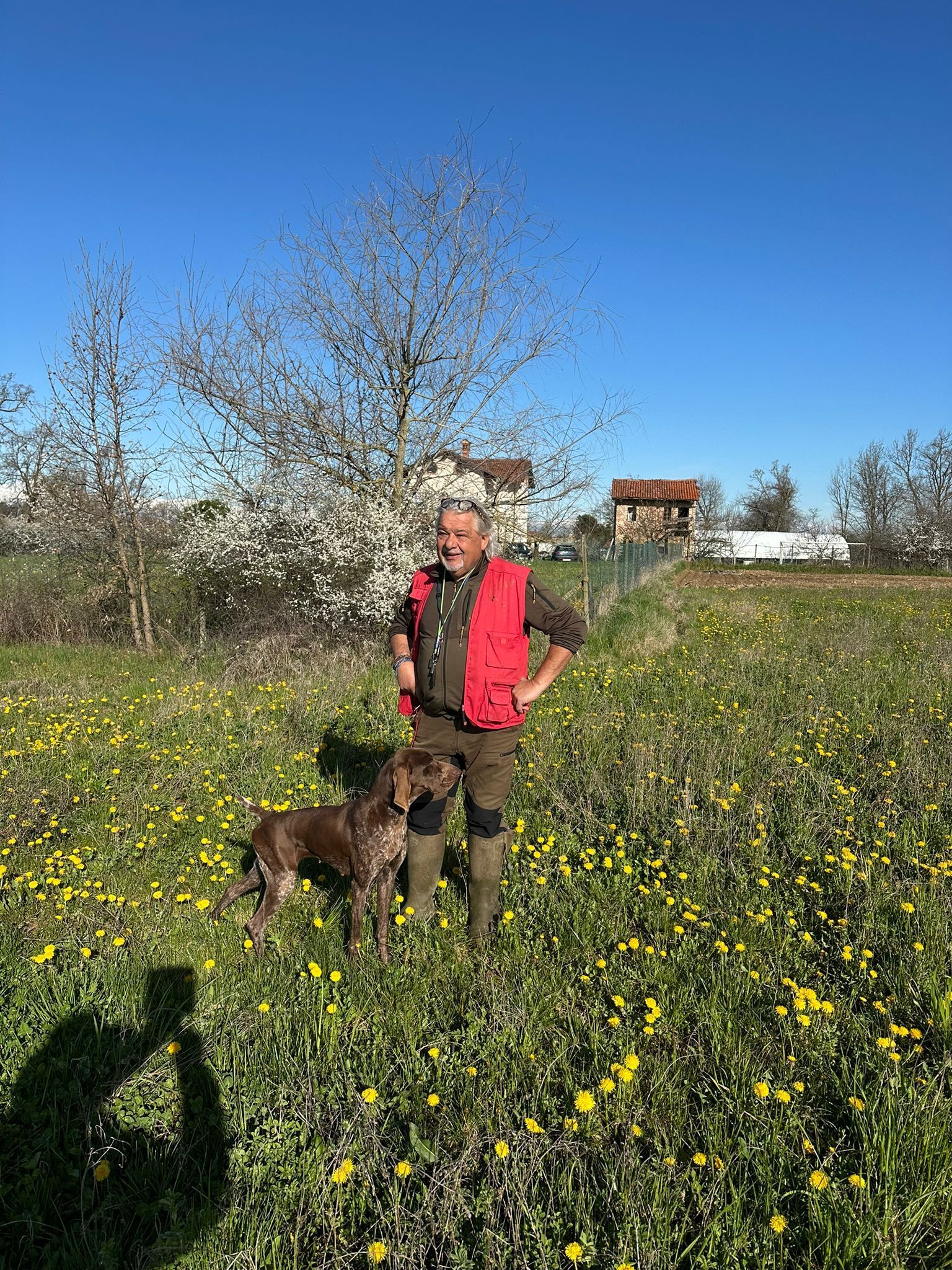 Un uomo e un cane in un campo di fiori gialli, in piedi davanti ad alberi e una casa, sotto un cielo azzurro e terso.