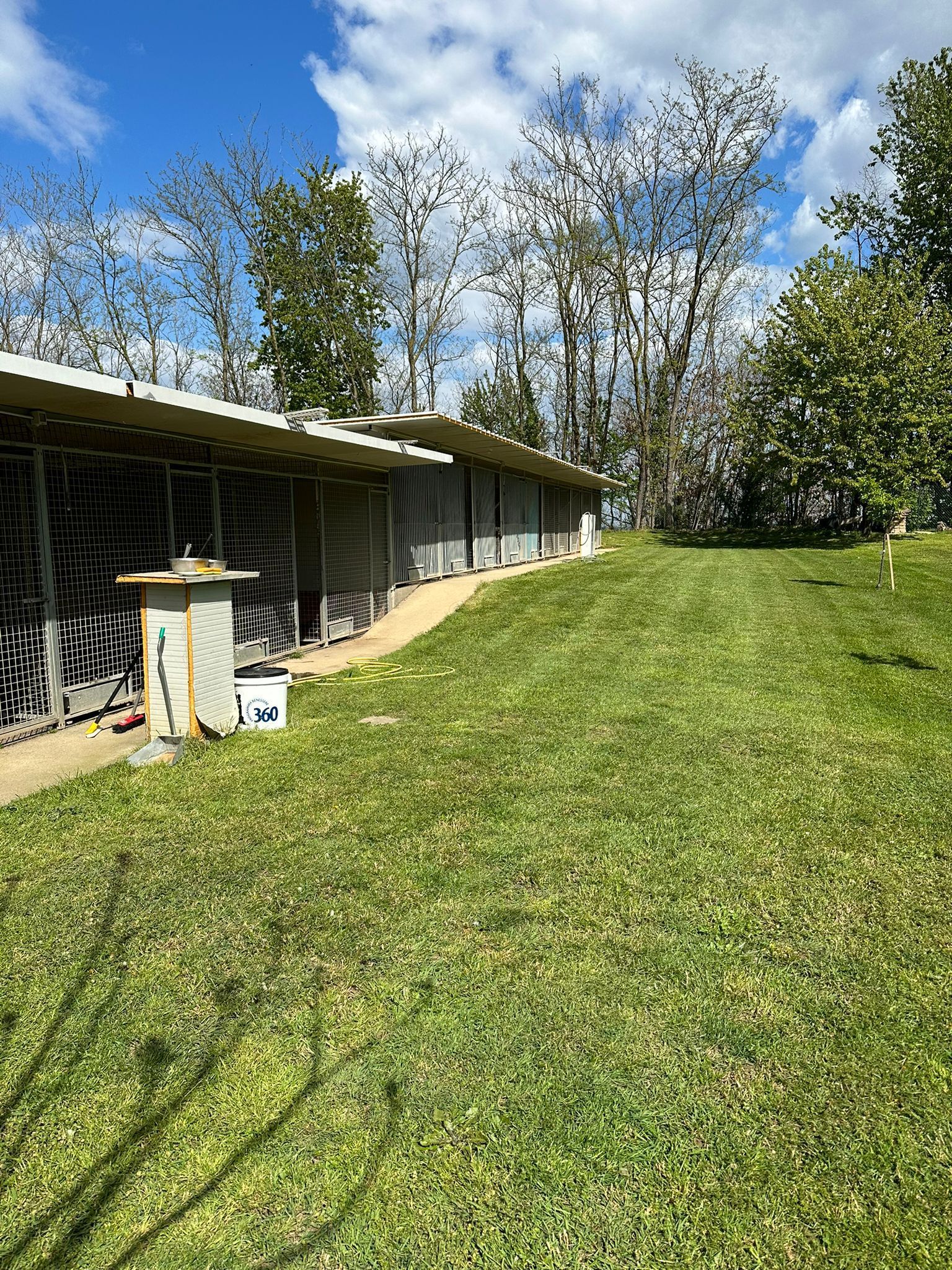 Fila di canili con un'area verde erbosa e alberi in una giornata di sole.