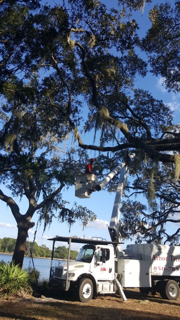 Man Working on Aerial Platform — Panama City, FL — Arbor Tree Care