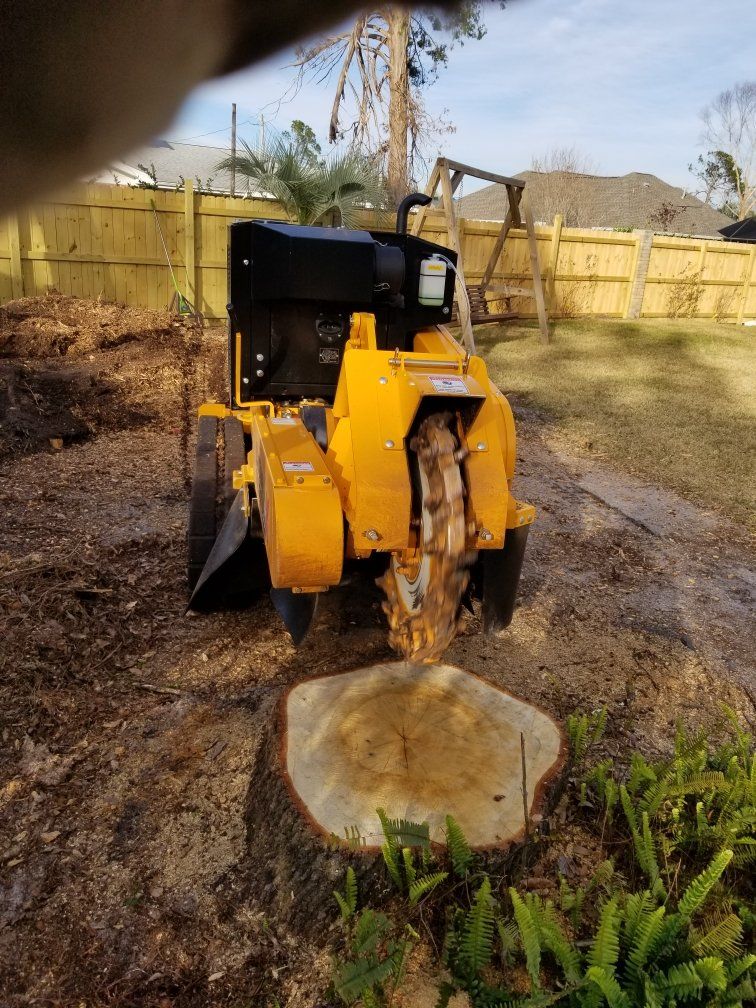 Stump Grinding — Stump Grinder in Panama City, FL