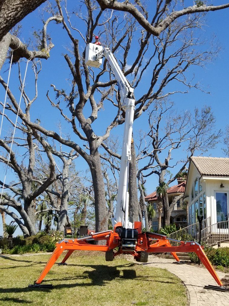 Man on Aerial Platform — Panama City, FL — Arbor Tree Care
