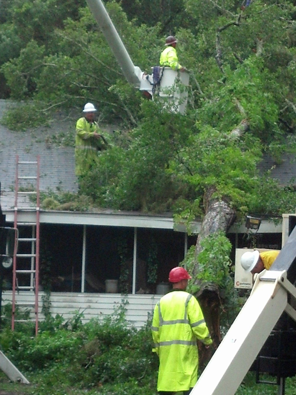 Men Working on Damage Tree — Panama City, FL — Arbor Tree Care