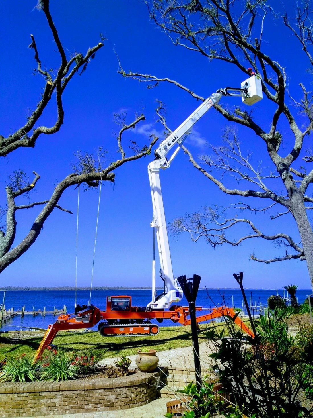 Tree Trimming — Man Cutting a Tree Branch in Panama City, FL