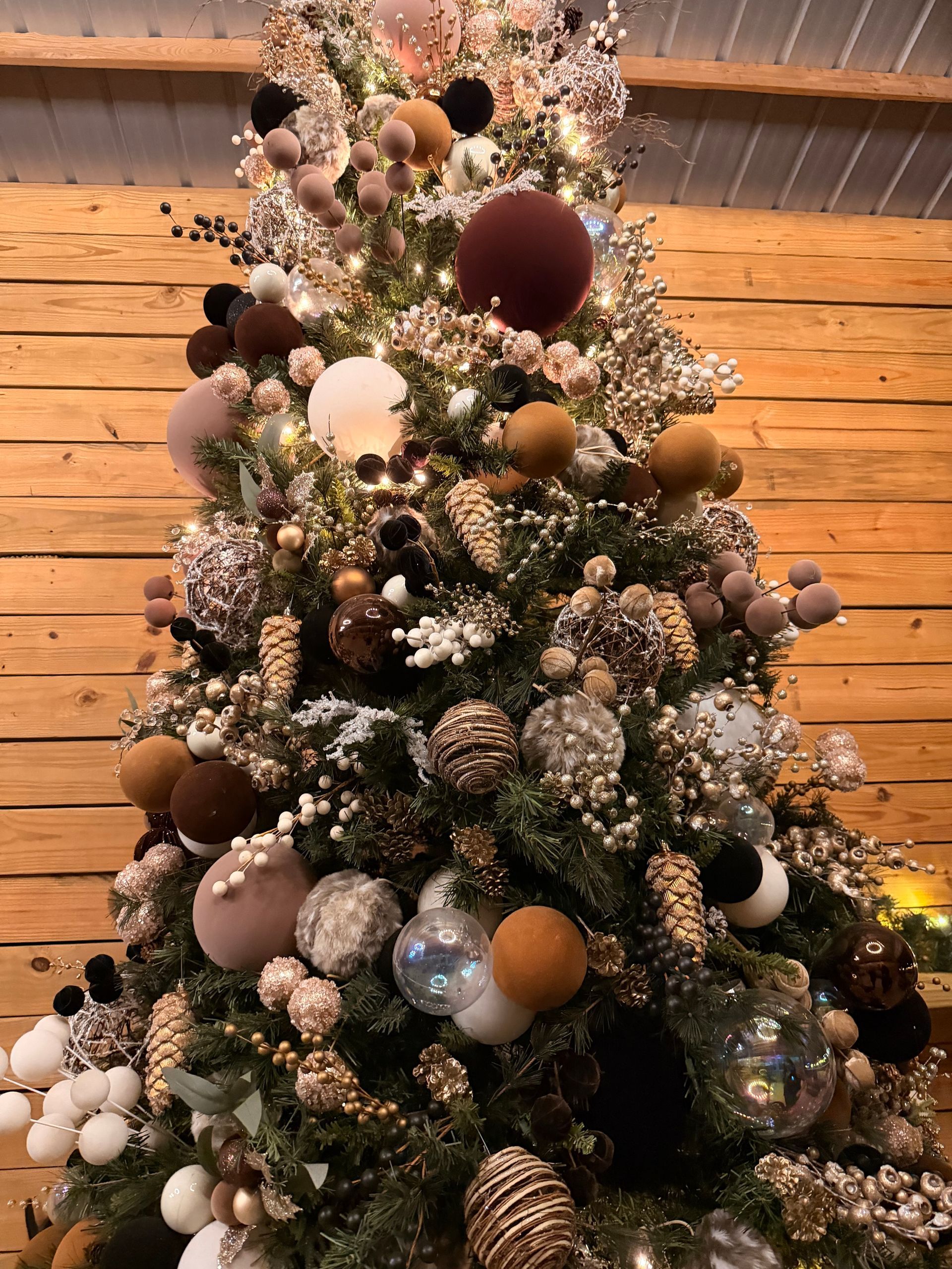 Cape Coral Christmas Debt Bankruptcy Lawyer