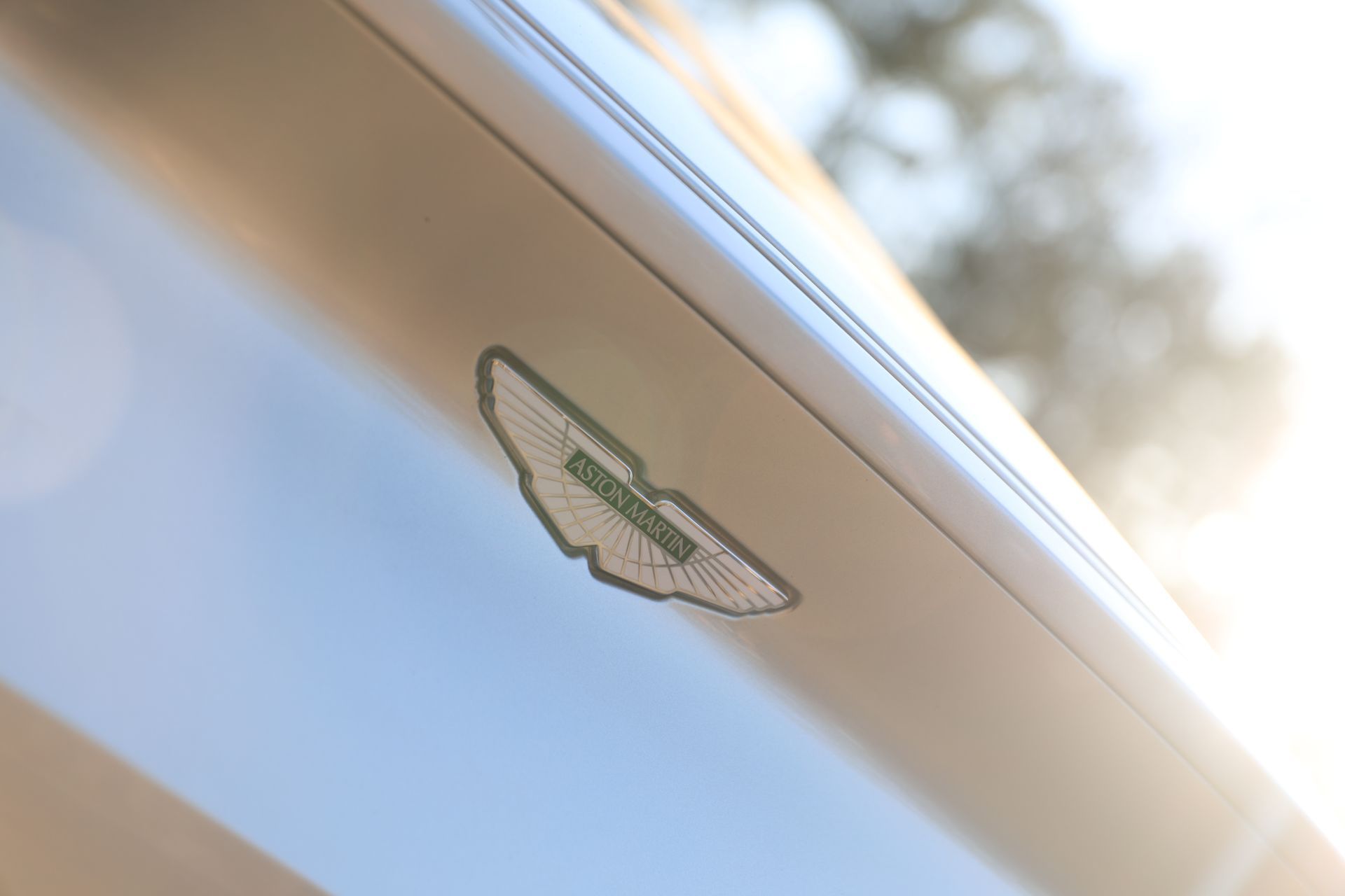A close up of an aston martin emblem on the side of a car