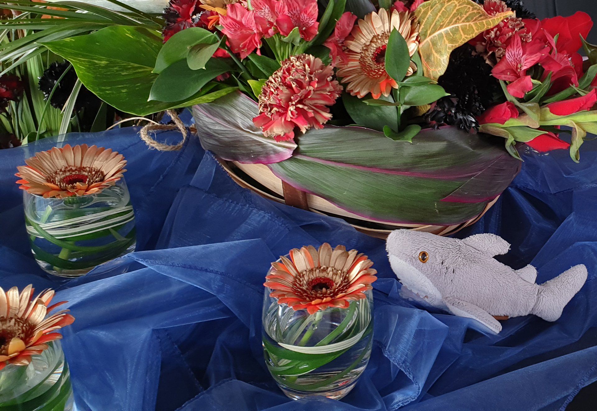 Tropical flowers for themed events