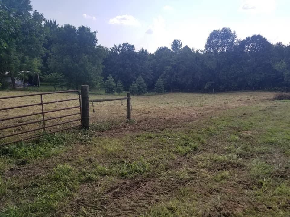 Grassy field with a metal gate, leading to a treeline under a blue sky.