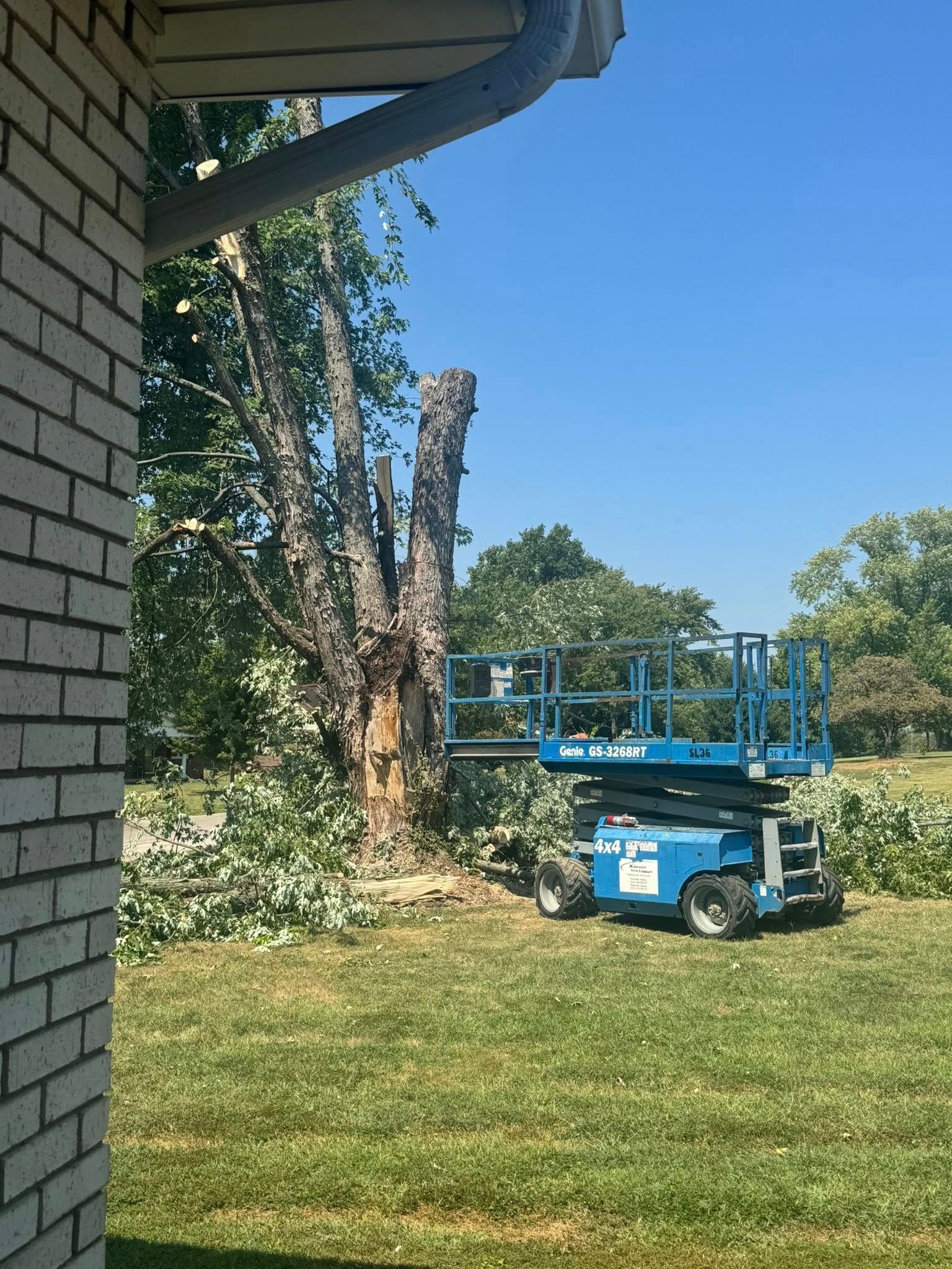 A blue lift platform next to a cut tree trunk on a grassy lawn with a brick building in the corner.