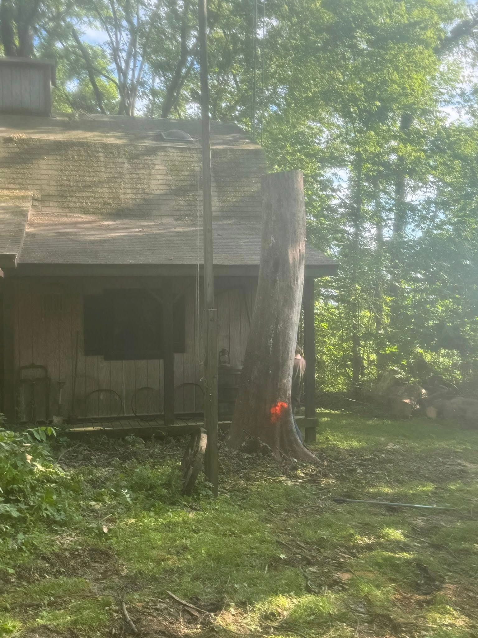 A tree trunk marked with orange tape next to a house with a mossy roof.