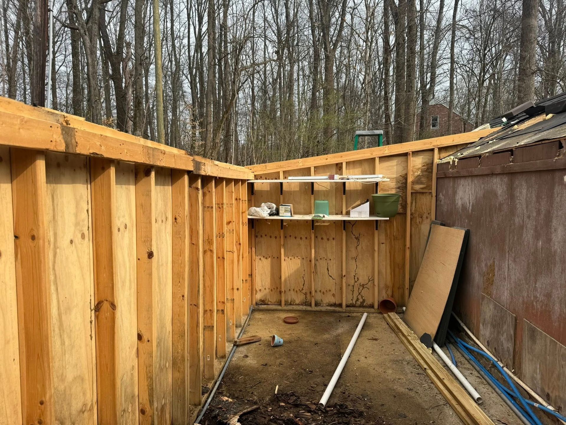 Wooden structure under construction, with exposed framing and plywood walls; forest background.
