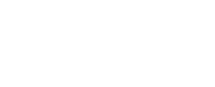 A visit california logo with white lettering and a clear background and a line beneath it