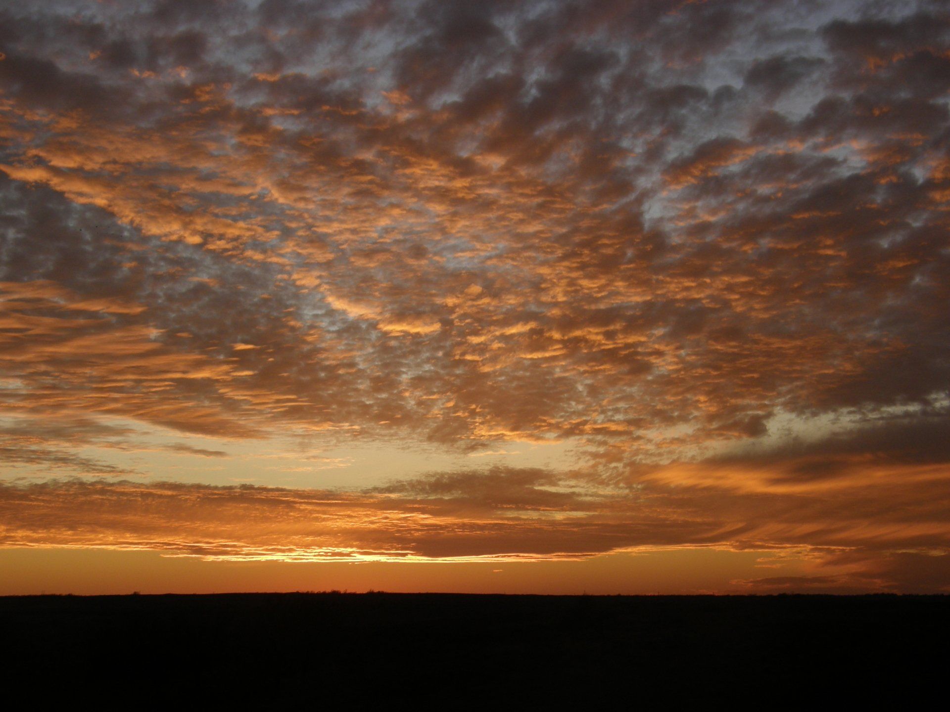 Sunset at Henard Ranch