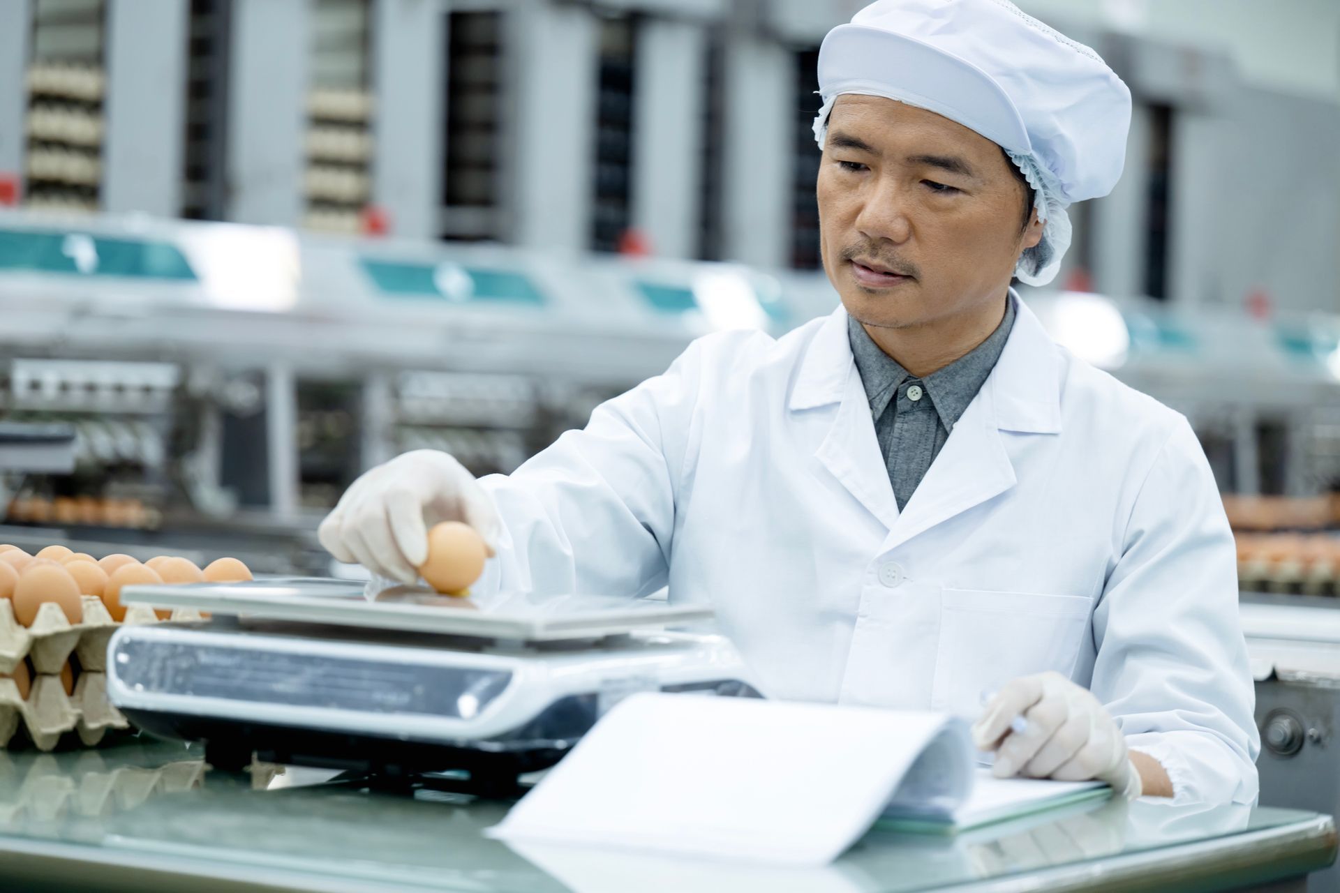 Food safety and quality technicians examine eggs' quality. Food safety and quality technicians examine eggs' quality.