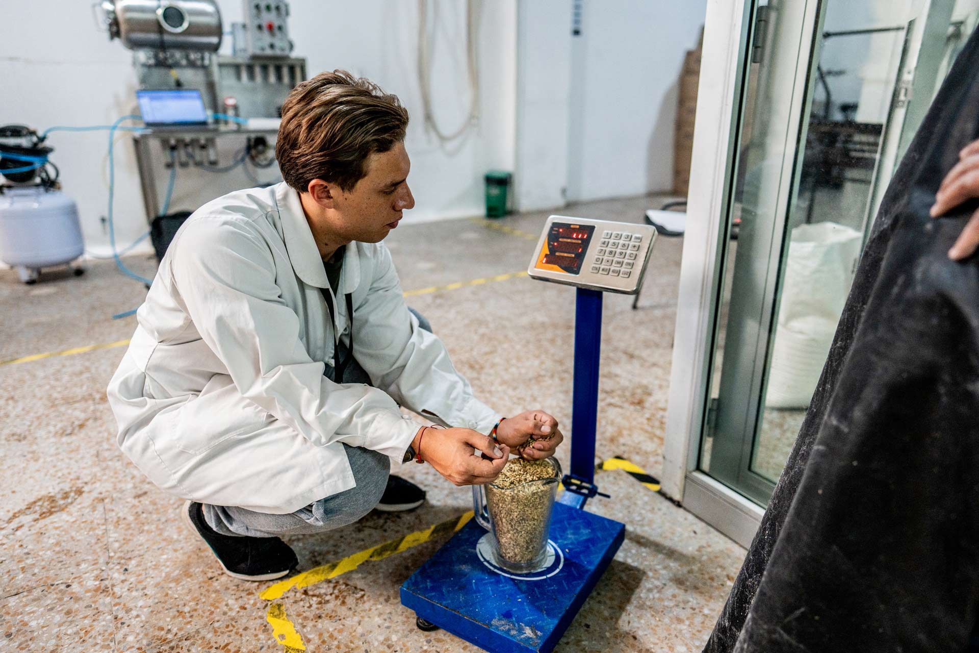Employee crouches beside a digital scale while weighing a container filled with barley.