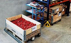 A wooden crate filled with red berries is on a pallet in a warehouse.
