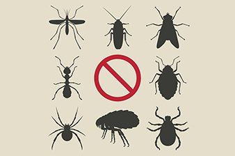 Pest - Exterminators in Battleboro, NC